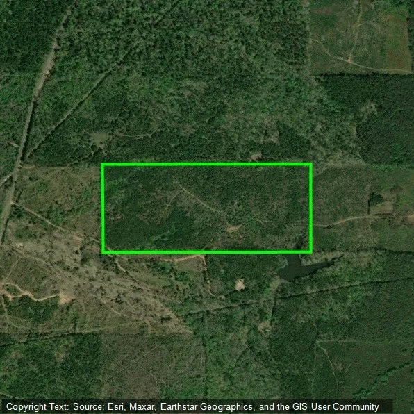 Maxey Haynesville, LA 71035