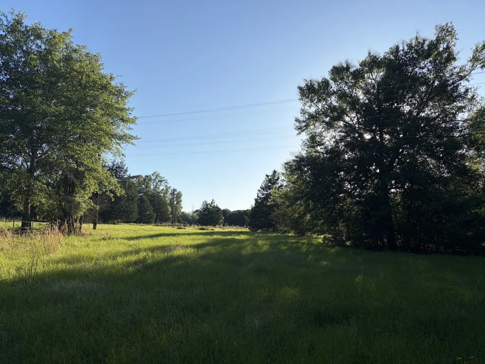 289 FCR 261 Oakwood, TX 75855