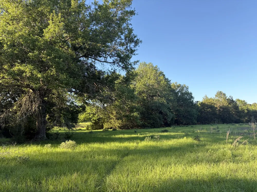 289 FCR 261 Oakwood, TX 75855