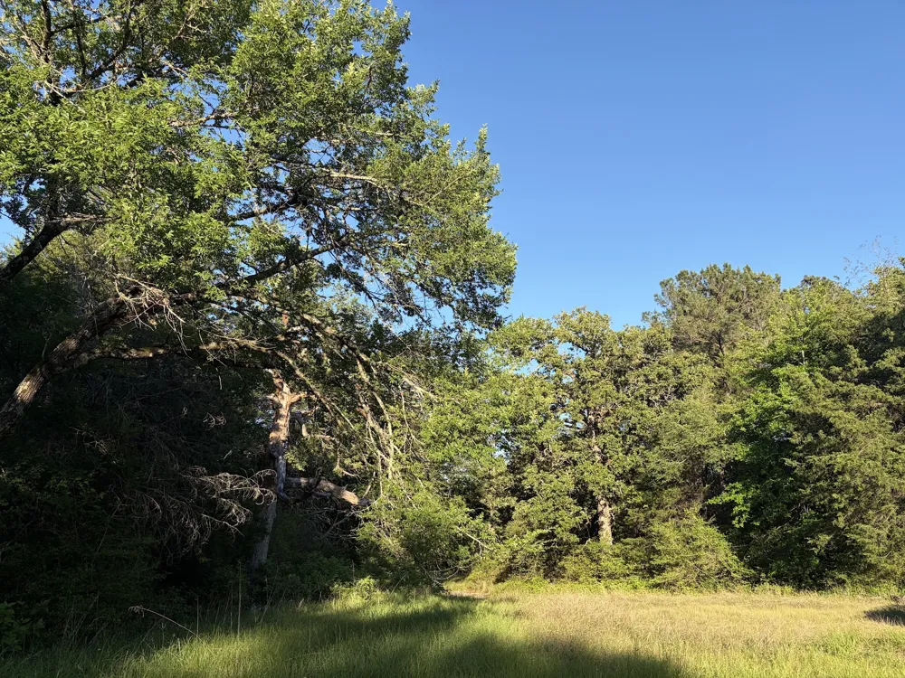 289 FCR 261 Oakwood, TX 75855