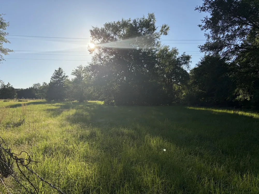 289 FCR 261 Oakwood, TX 75855