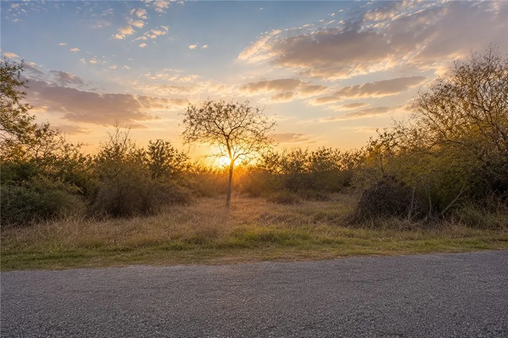 244 County Road 1032 Kingsville, TX 78363