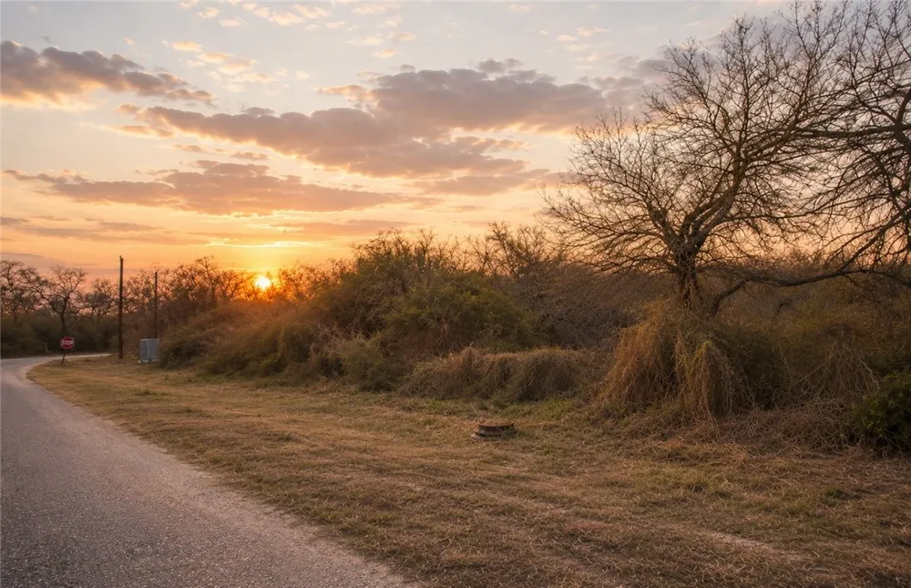 244 County Road 1032 Kingsville, TX 78363