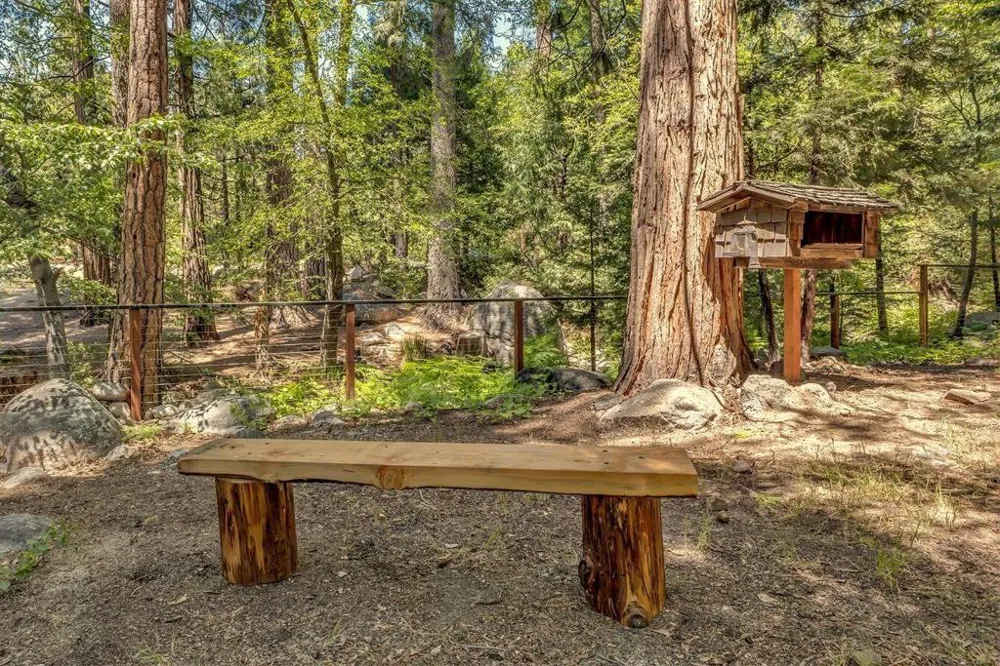 26140 Bicknell Lane Idyllwild, CA 92549