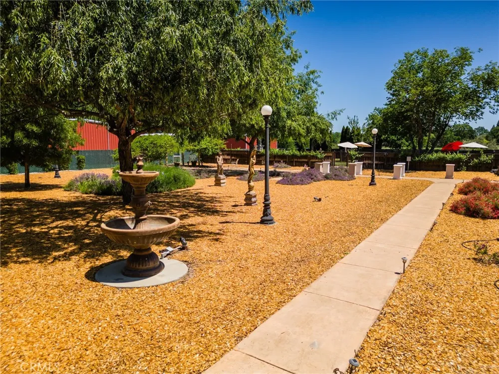 2290 Soda Bay Lakeport, CA 95453