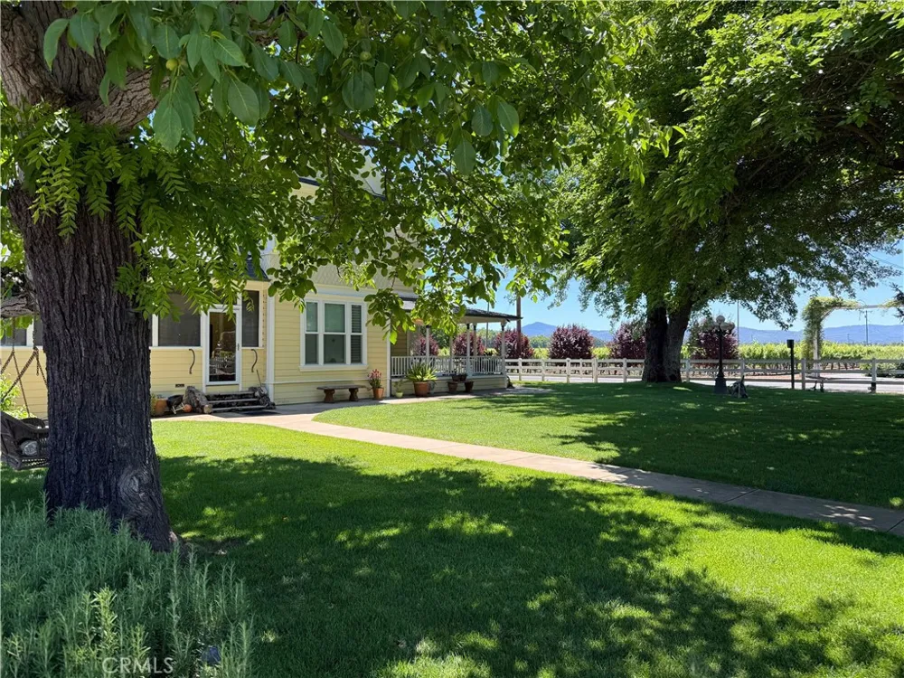 2290 Soda Bay Lakeport, CA 95453