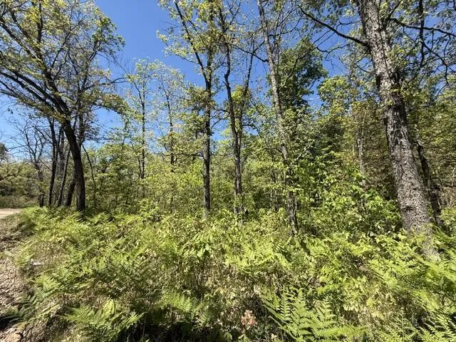 USFS 5196 Baldwin, MI 49304