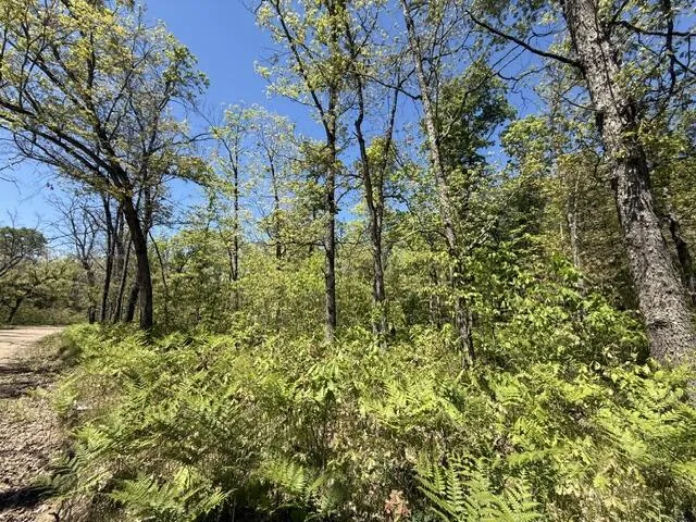 USFS 5196 Baldwin, MI 49304