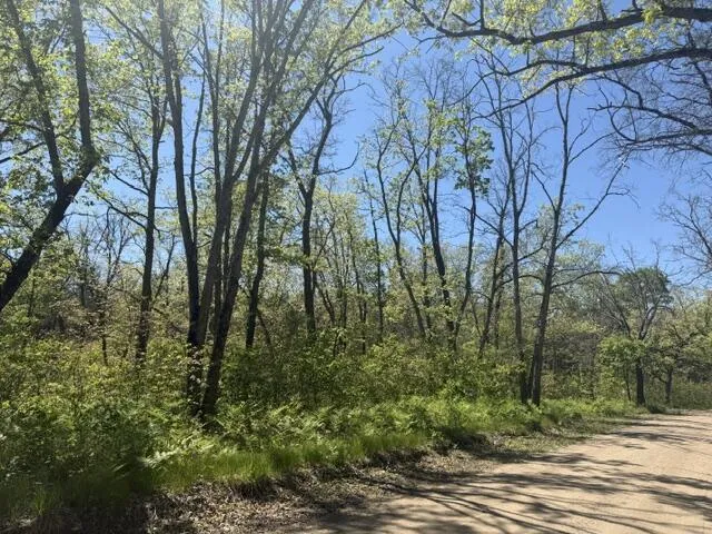 USFS 5196 Baldwin, MI 49304
