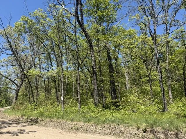 USFS 5196 Baldwin, MI 49304