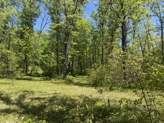 USFS 5196 Baldwin, MI 49304
