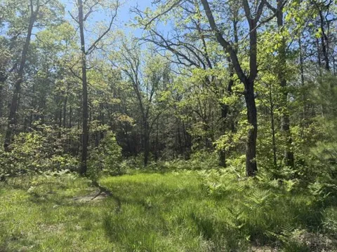 USFS 5196