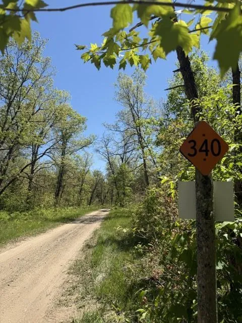 USFS 5196 Baldwin, MI 49304