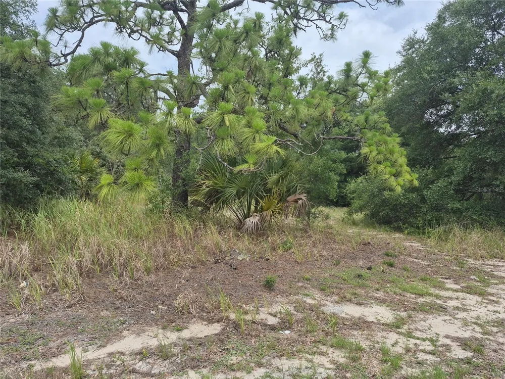 1626 S US 301 Sumterville, FL 33585