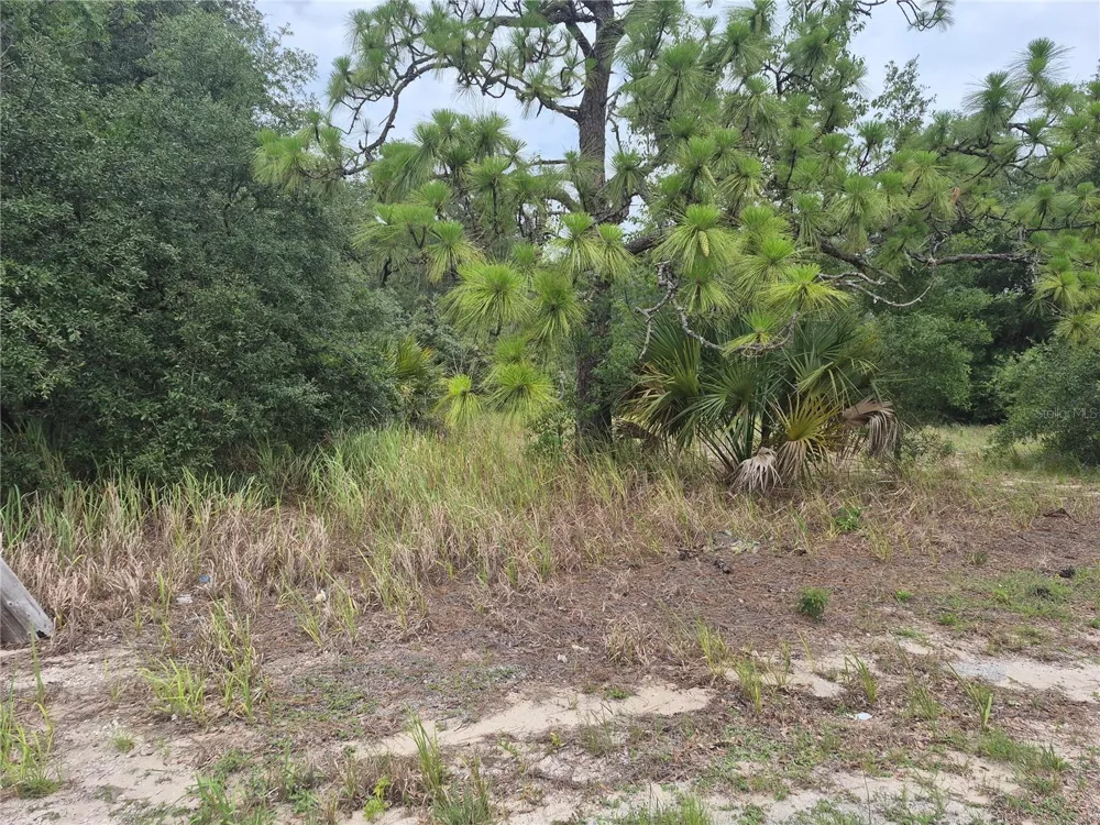 1626 S US 301 Sumterville, FL 33585