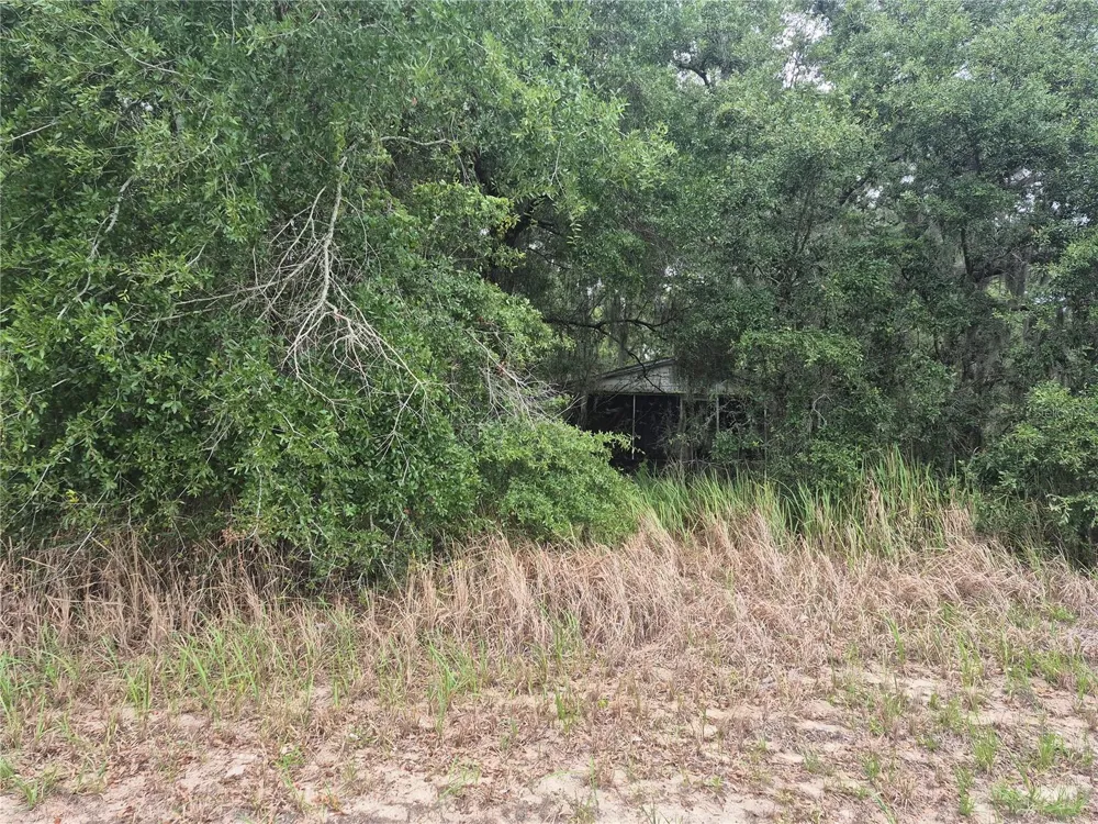 1626 S US 301 Sumterville, FL 33585