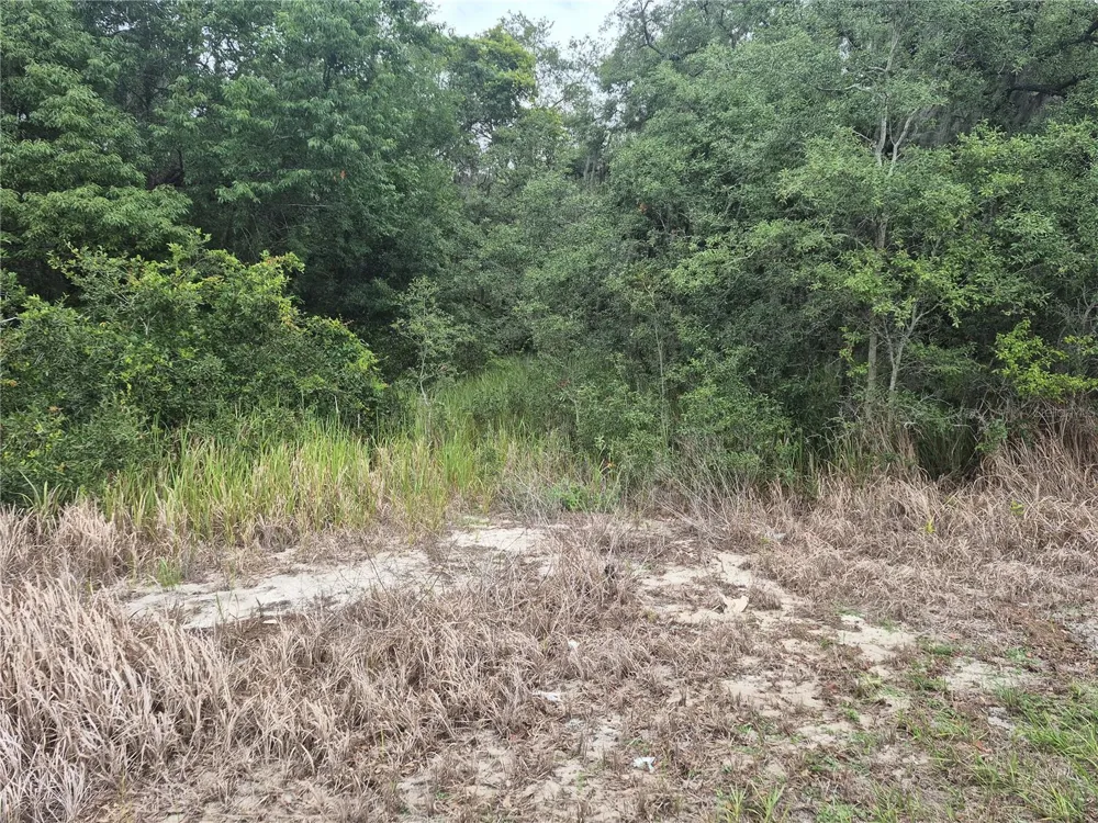 1626 S US 301 Sumterville, FL 33585