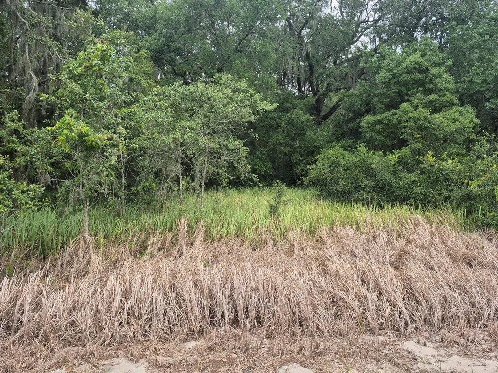 1626 S US 301 Sumterville, FL 33585