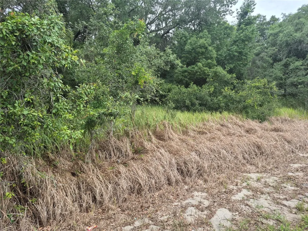 1626 S US 301 Sumterville, FL 33585