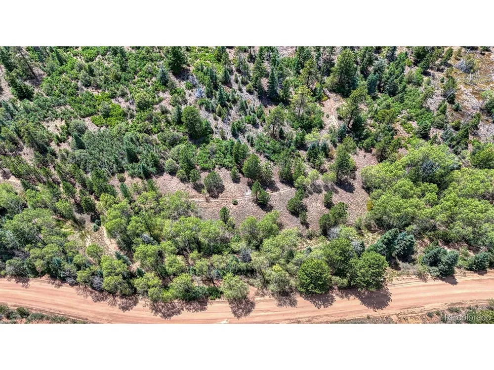 1927 Basin Drive Cotopaxi, CO 81223