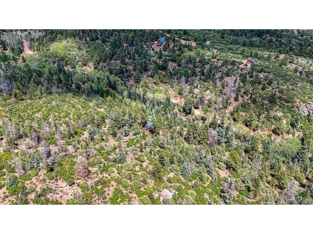 1927 Basin Drive Cotopaxi, CO 81223