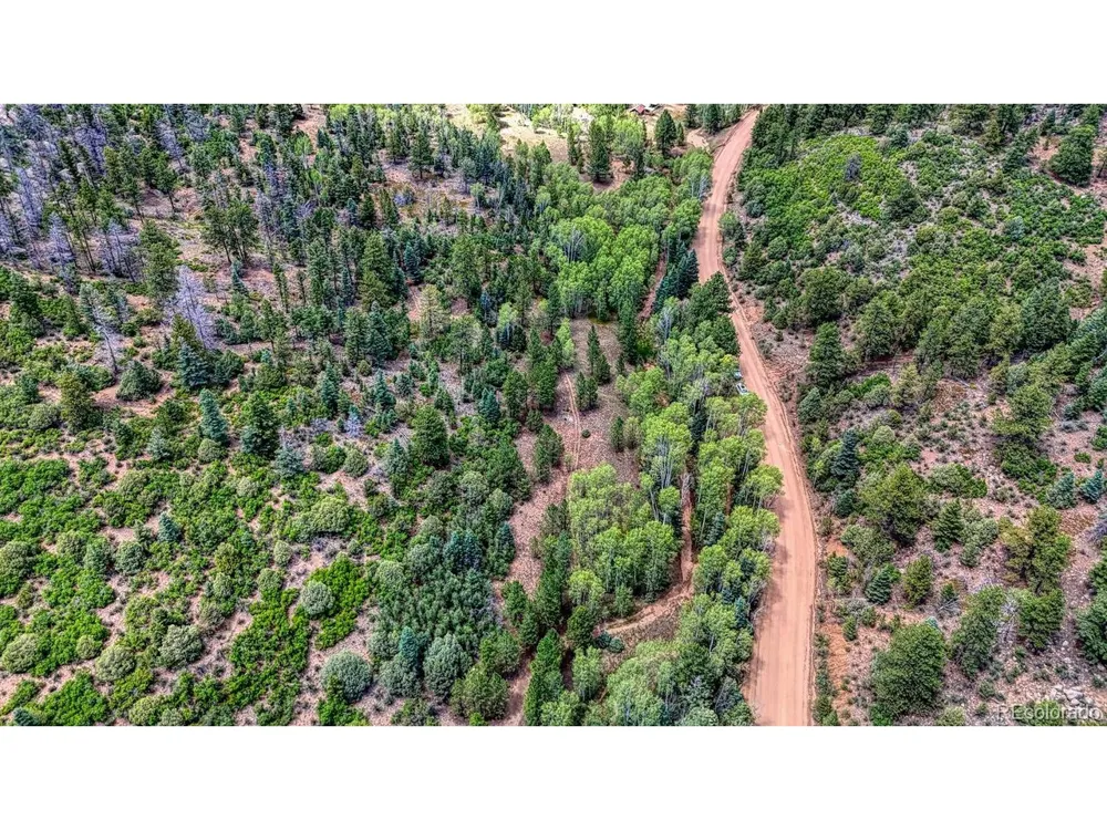 1927 Basin Drive Cotopaxi, CO 81223