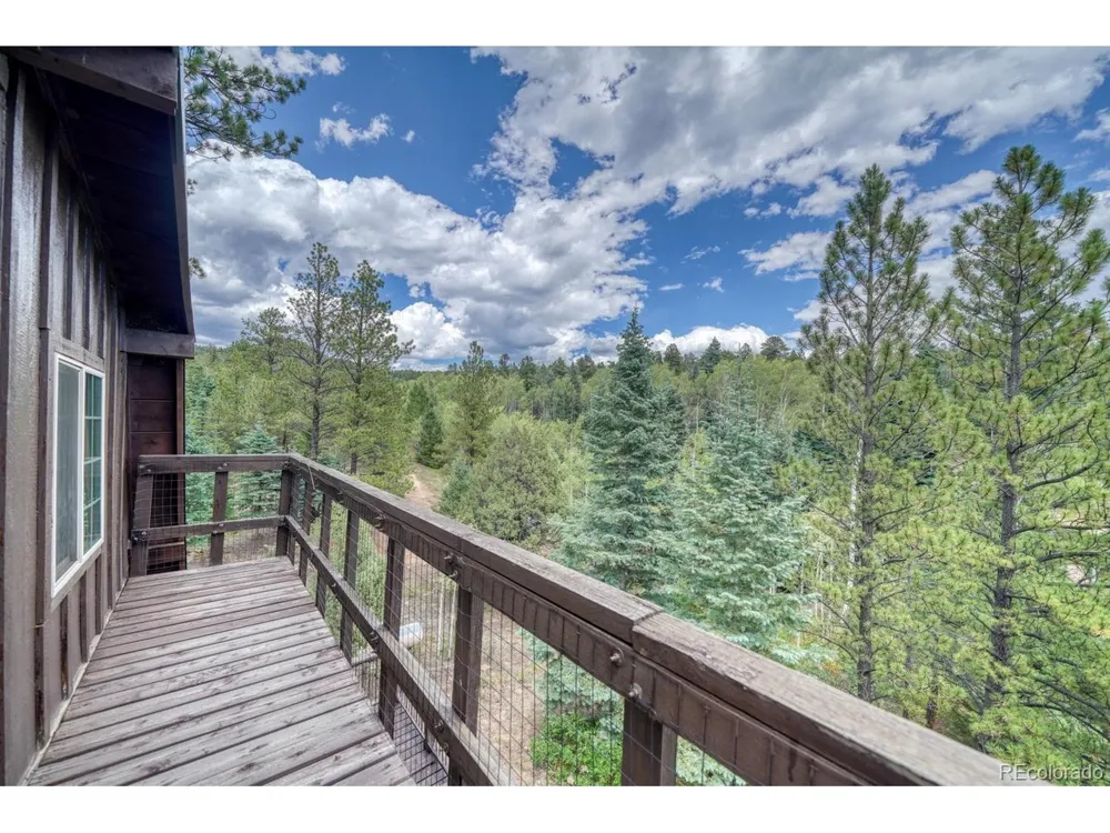 1927 Basin Drive Cotopaxi, CO 81223