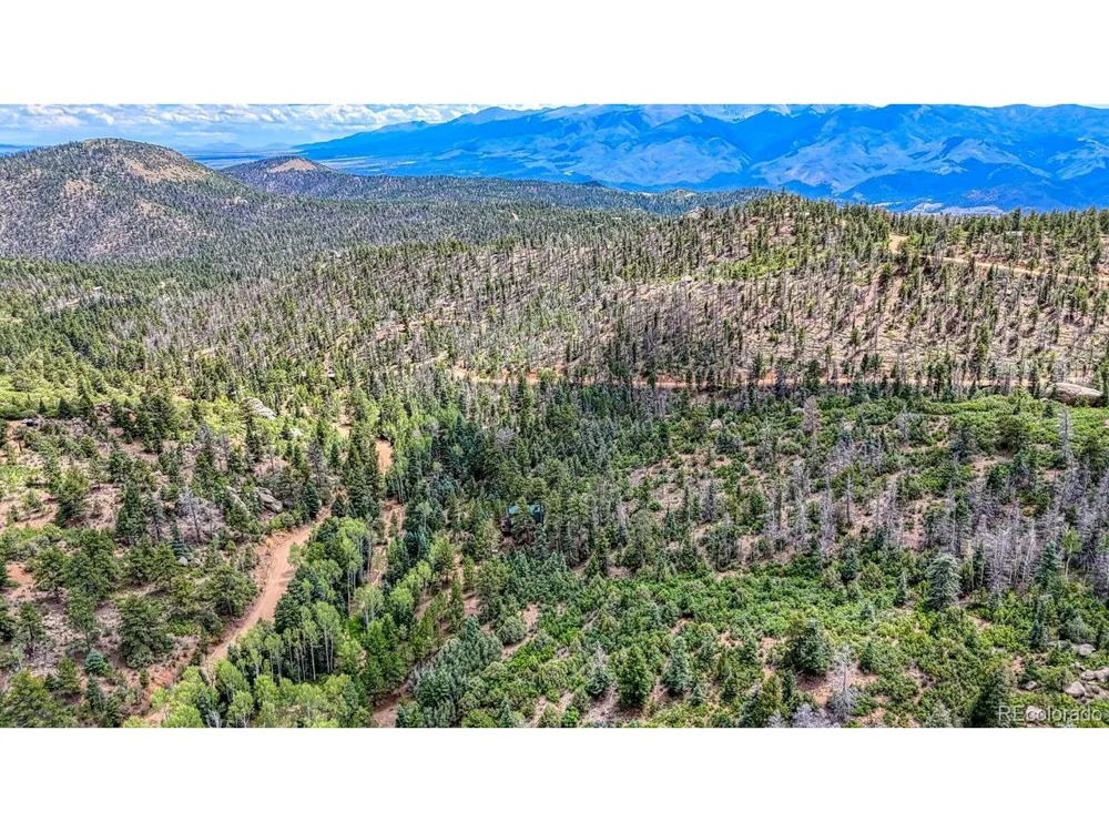 1927 Basin Drive Cotopaxi, CO 81223