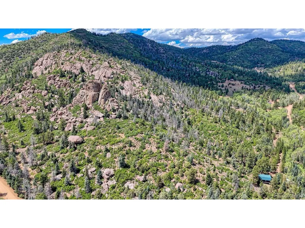 1927 Basin Drive Cotopaxi, CO 81223