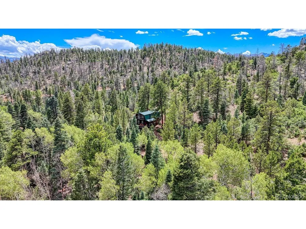 1927 Basin Drive Cotopaxi, CO 81223