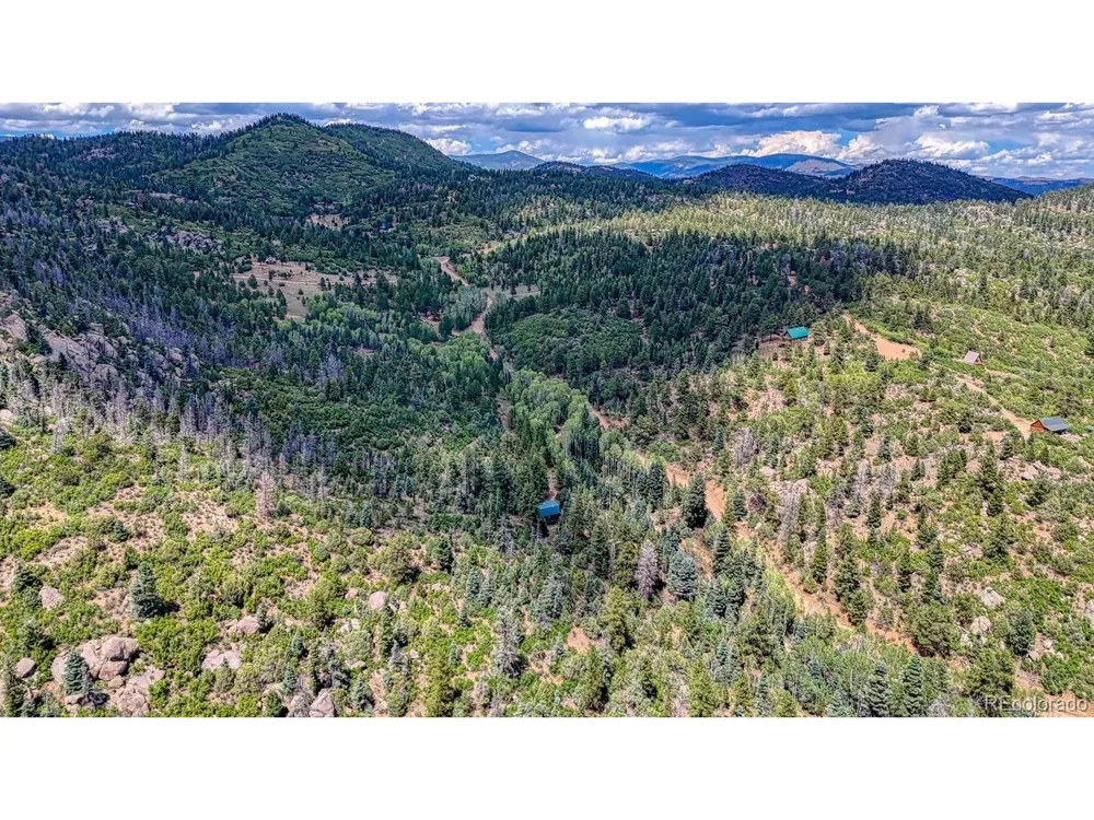 1927 Basin Drive Cotopaxi, CO 81223
