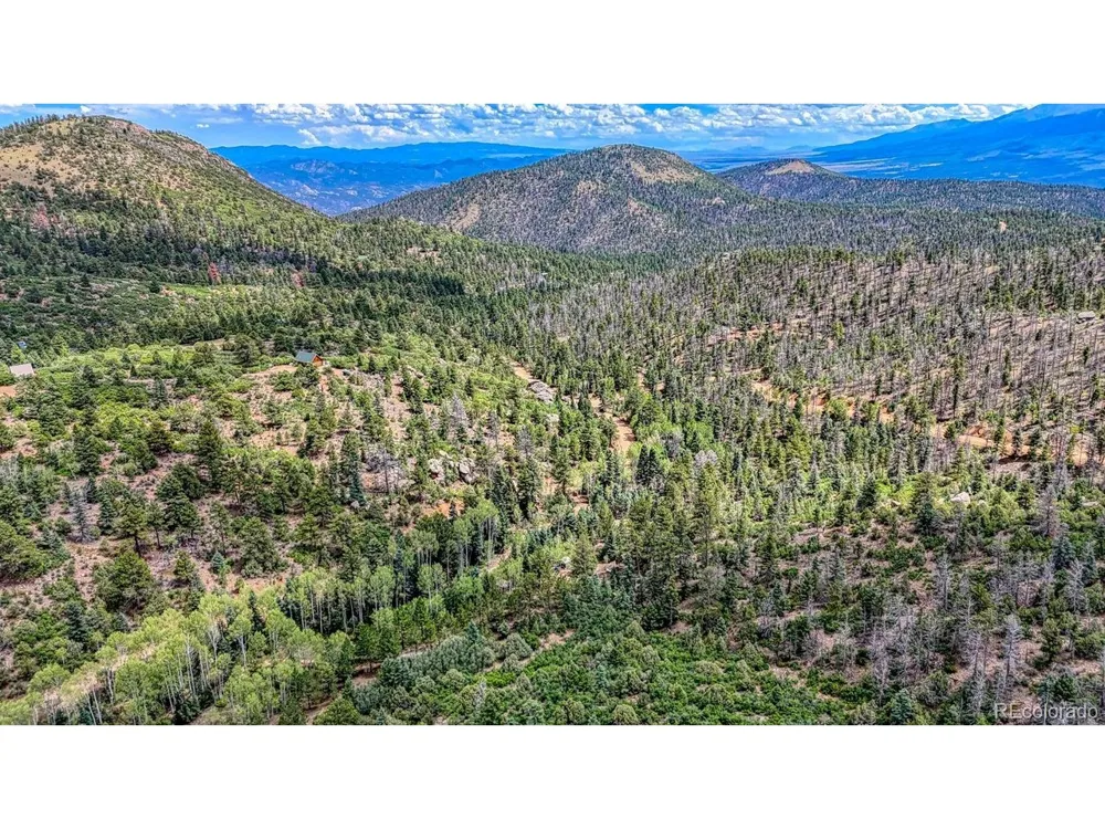 1927 Basin Drive Cotopaxi, CO 81223