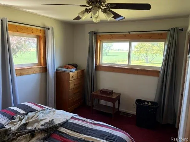 4815 Loree Road Deckerville Village, MI 48427