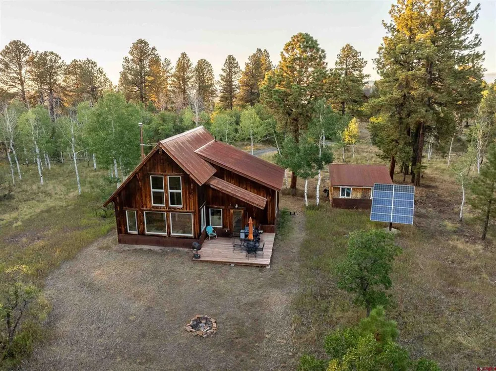 150 W Piney Woods Way Placerville, CO 81430