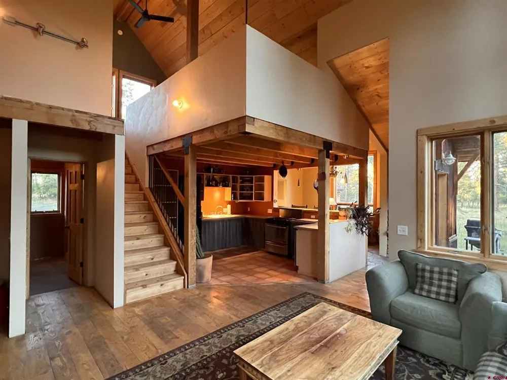 150 W Piney Woods Way Placerville, CO 81430