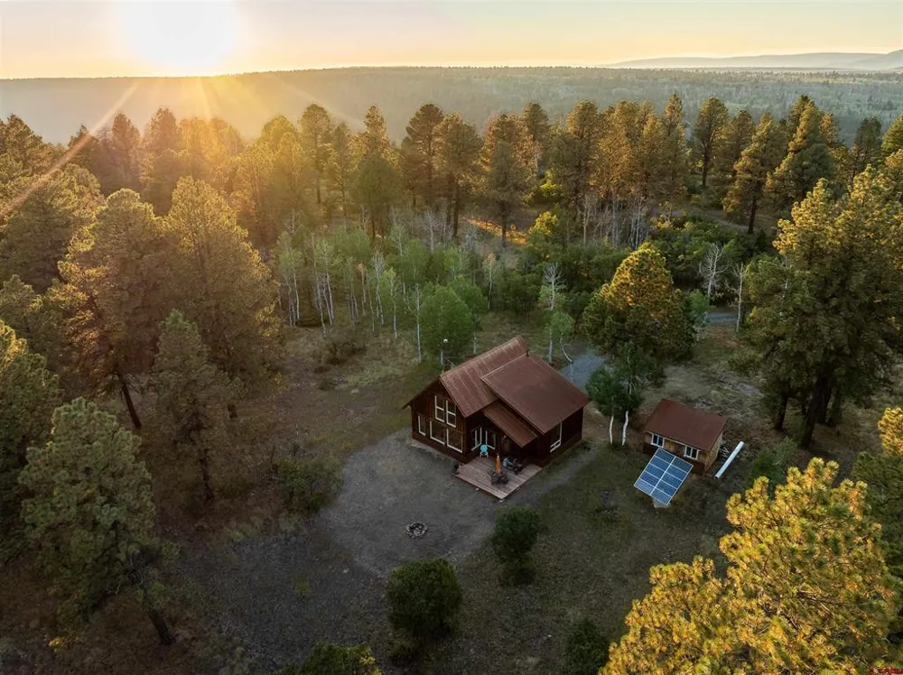 150 W Piney Woods Way Placerville, CO 81430