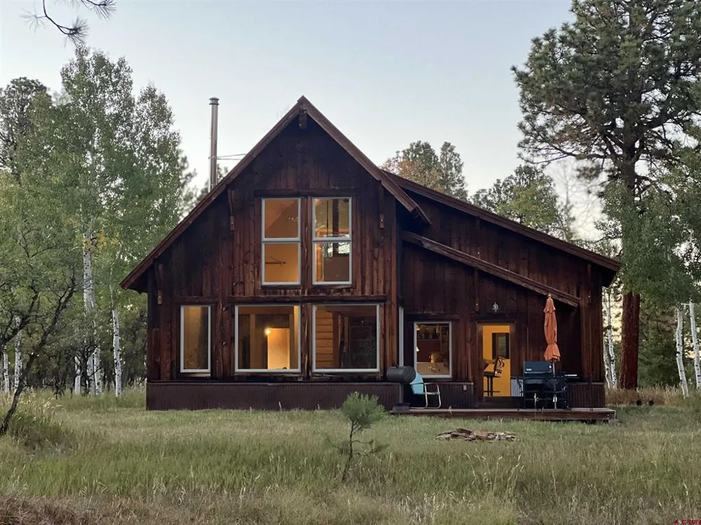 150 W Piney Woods Way Placerville, CO 81430