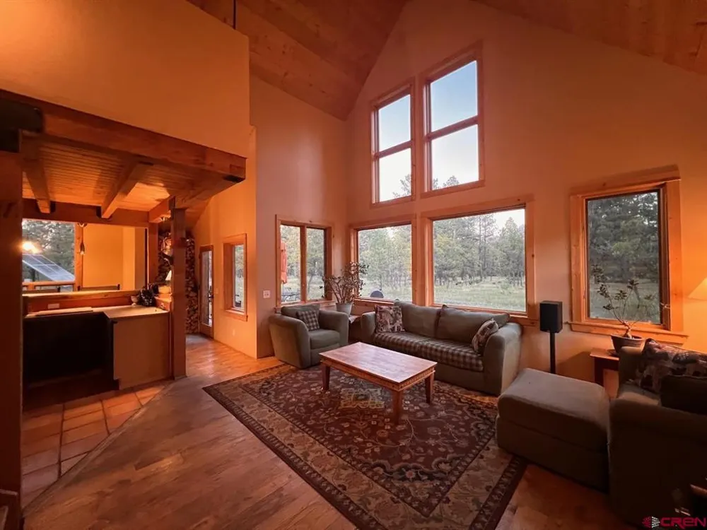 150 W Piney Woods Way Placerville, CO 81430