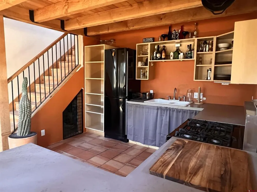 150 W Piney Woods Way Placerville, CO 81430