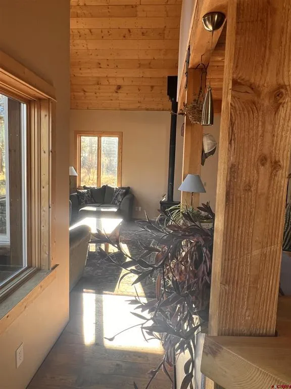 150 W Piney Woods Way Placerville, CO 81430