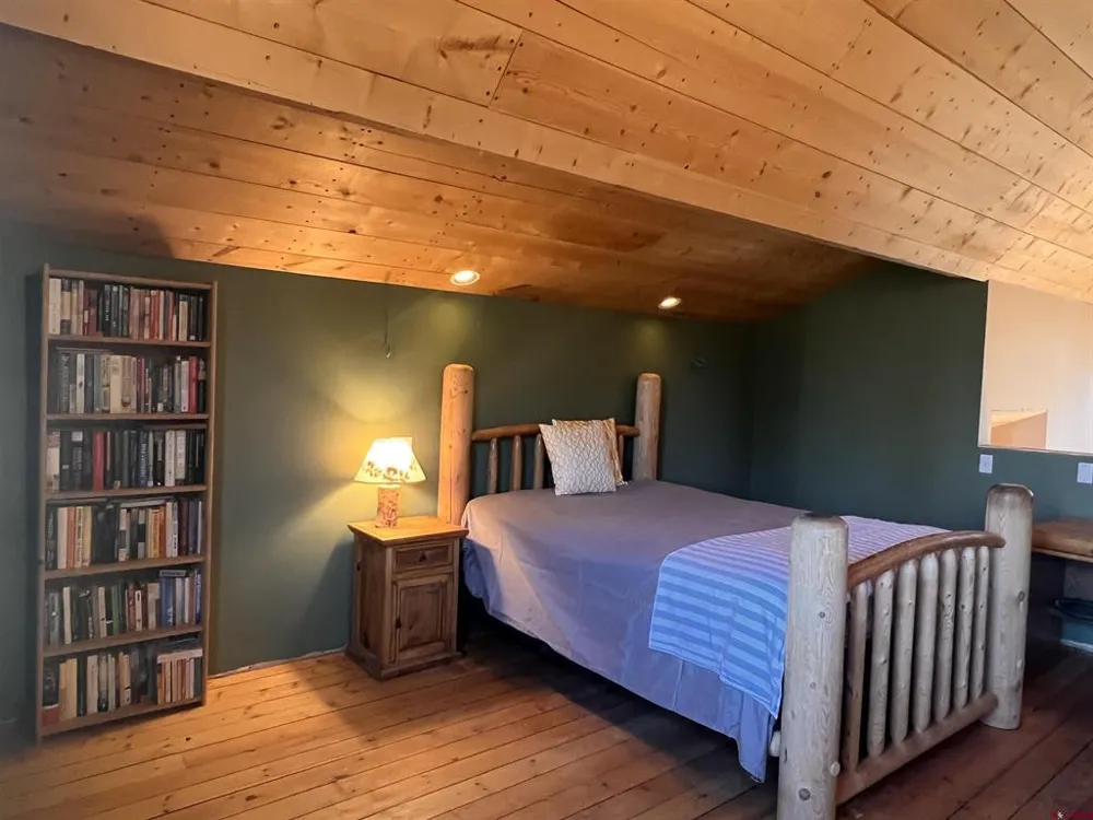 150 W Piney Woods Way Placerville, CO 81430
