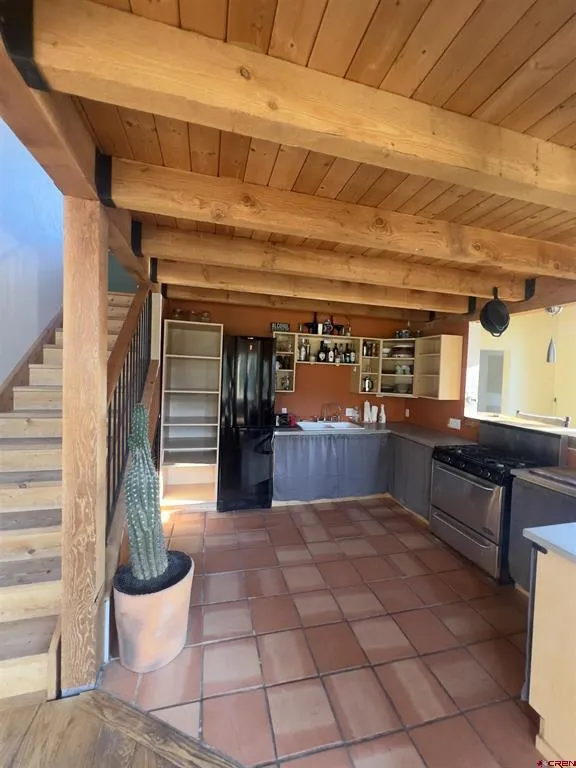 150 W Piney Woods Way Placerville, CO 81430