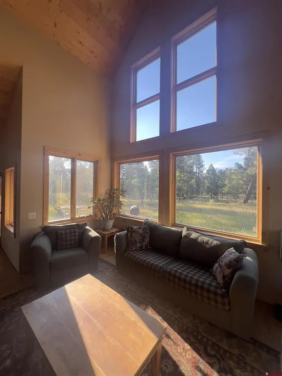 150 W Piney Woods Way Placerville, CO 81430