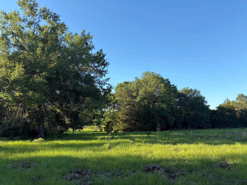 289 County Road 261 Oakwood, TX 75855