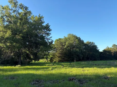 289 County Road 261