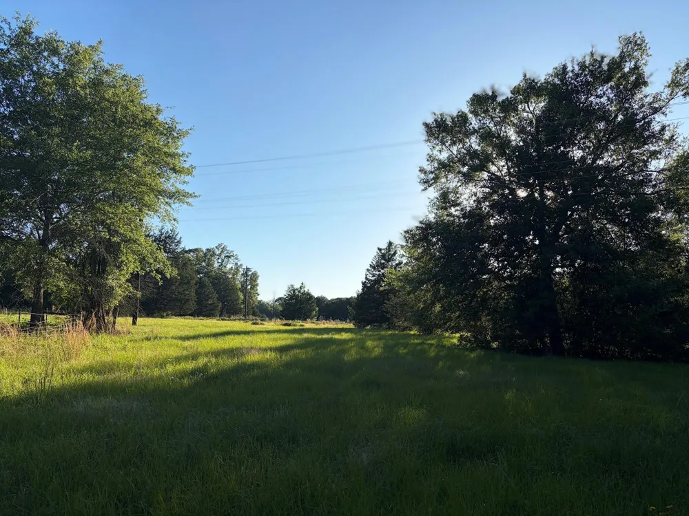 289 County Road 261 Oakwood, TX 75855