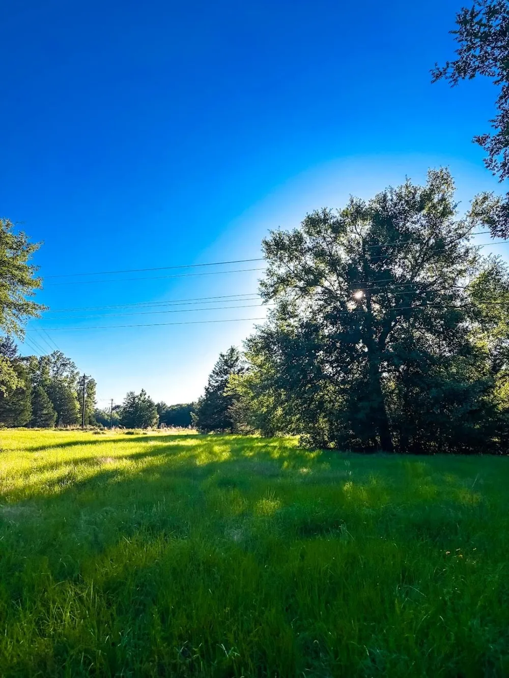 289 County Road 261 Oakwood, TX 75855
