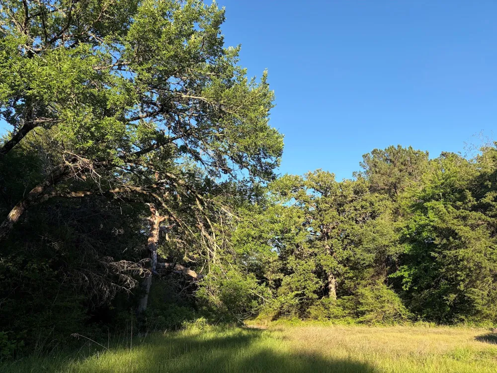 289 County Road 261 Oakwood, TX 75855