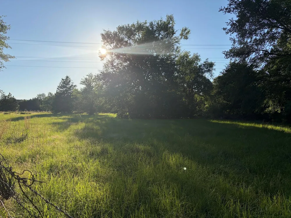 289 County Road 261 Oakwood, TX 75855
