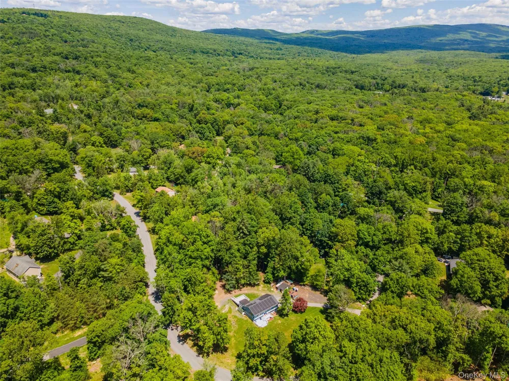 20 Patrick Drive Bloomingburg, NY 12721